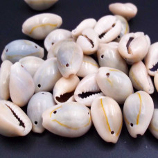 Conchiglie Naturali 16/18 mm grigie pacco 10 pezzi
