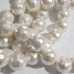 Conchiglie tonde bianche 12 mm grado aaaa pacco 10 przzi 