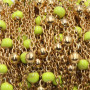 Catena acciaio oro pallina smaltata verde 50 cm