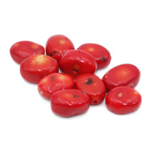 Corallo bambù rosso sasso lucido 24x18 circa 1 pz Corallo bambù rosso sasso lucido 24x18 circa 1 pz
