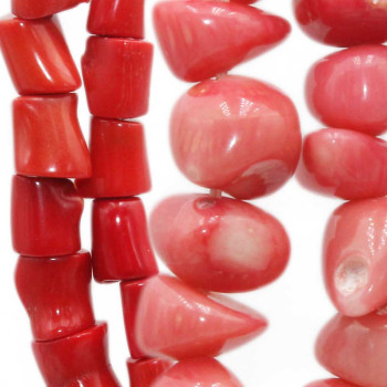 Corallo