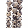 Diaspro dalmata tondo liscio 10.5 mm pacco da 10 pezzi