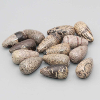 Diaspro jasper marrone goccia 19x10 mm conf. 10 pz