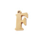 10 pezzi Charms lettera F in acciaio oro 10.5 mm 
