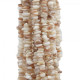 Madreperla Madreperla