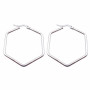 Orecchini acciaio pentagono 44x39 mm pacco 2 pezzi