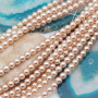 Perle cerate grado A++ tonde cipria 4 mm filo 40 cm